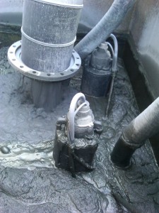 Polaris Pumps in Tank